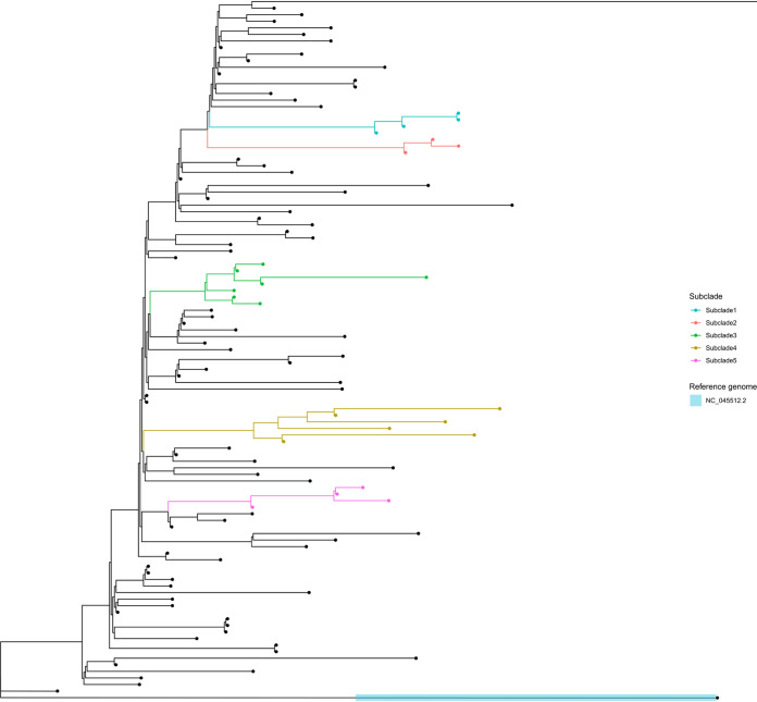 FIG 1