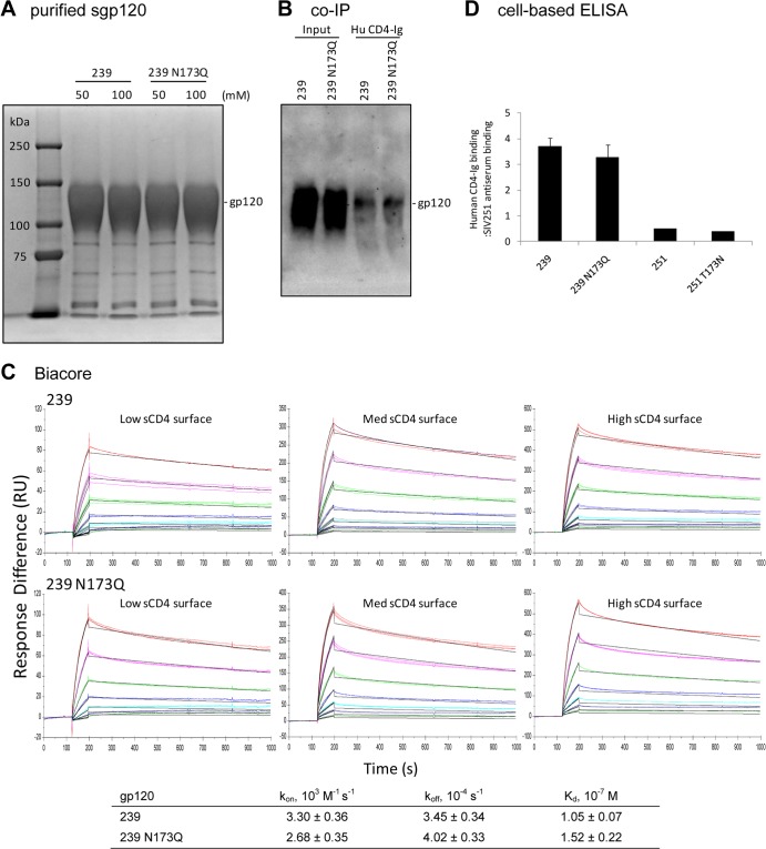 FIG 6