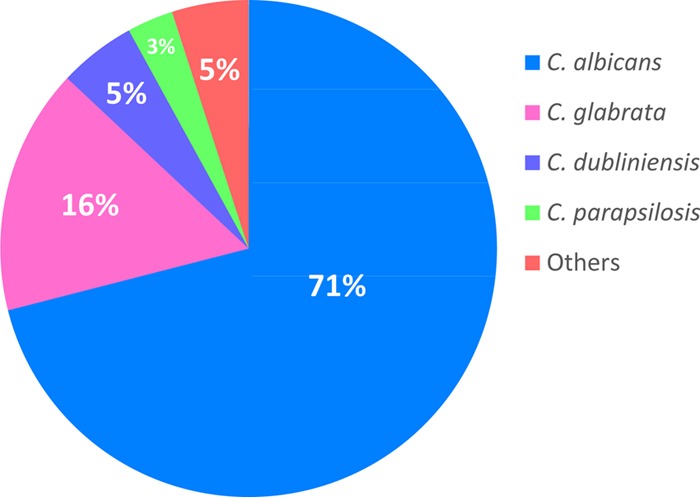 FIG 1