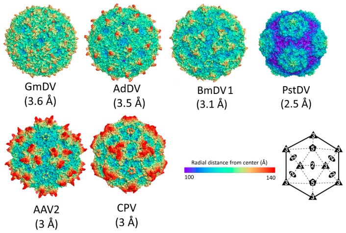 Figure 14