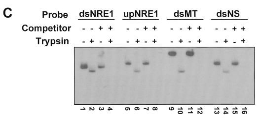 FIG. 9