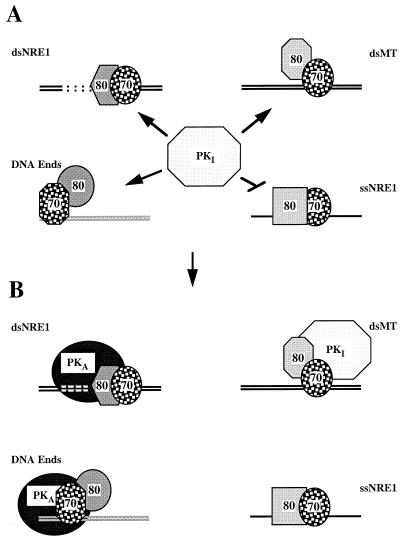 FIG. 11