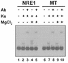 FIG. 6