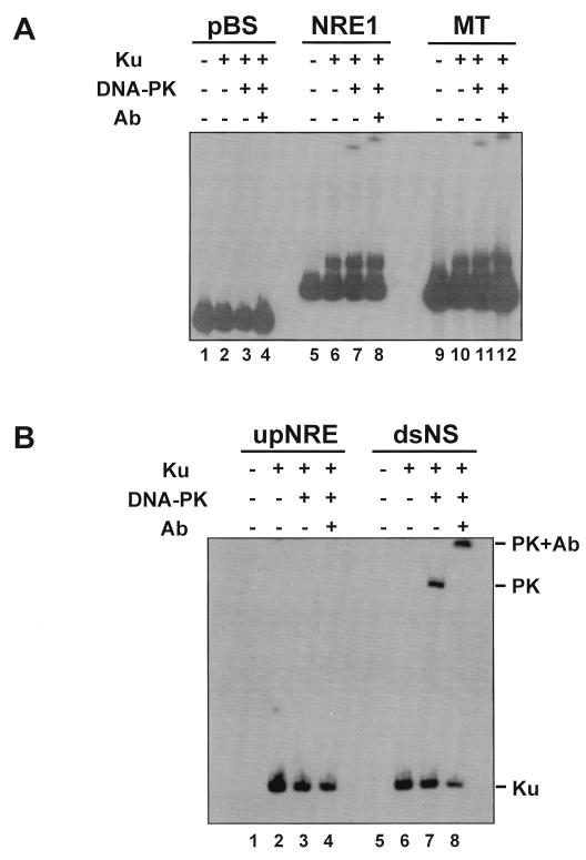 FIG. 5
