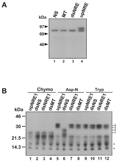 FIG. 10
