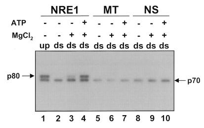 FIG. 7