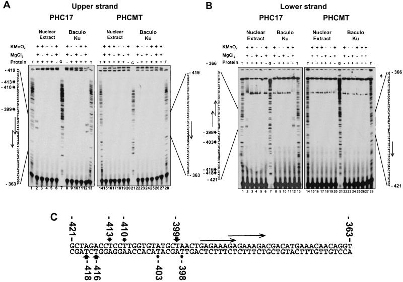 FIG. 8