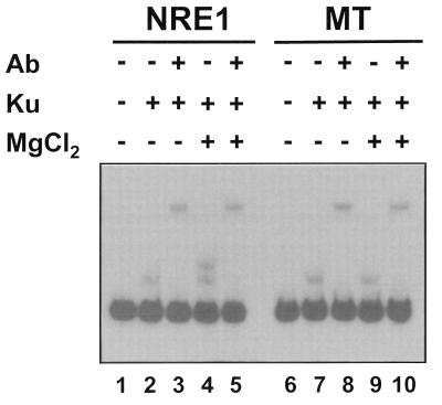 FIG. 6