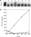 Fig. 3.
