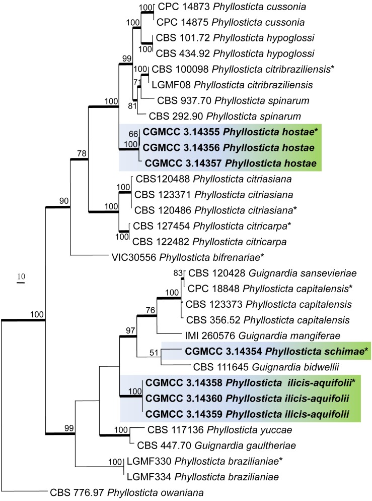 Fig. 2