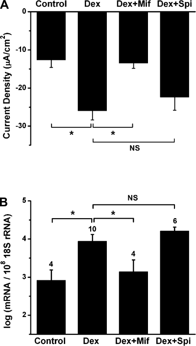 Fig. 8.