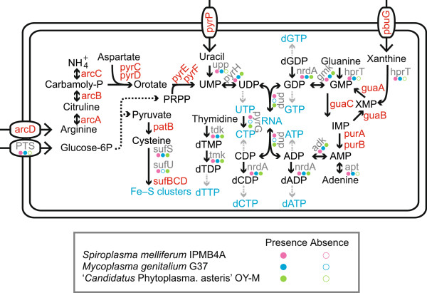 Figure 6