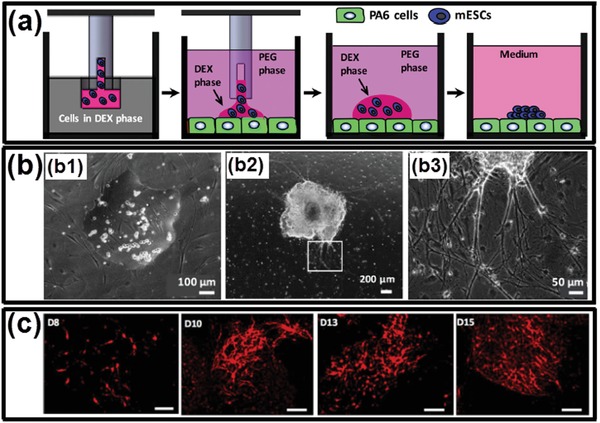 Figure 27