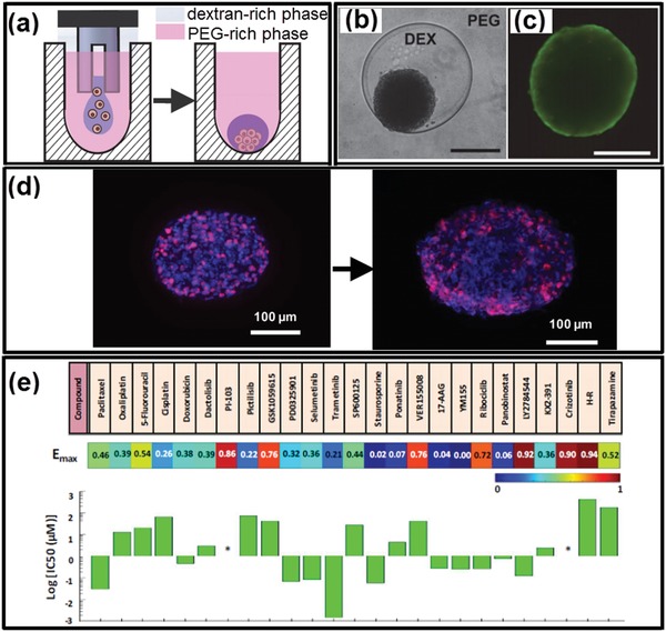 Figure 26