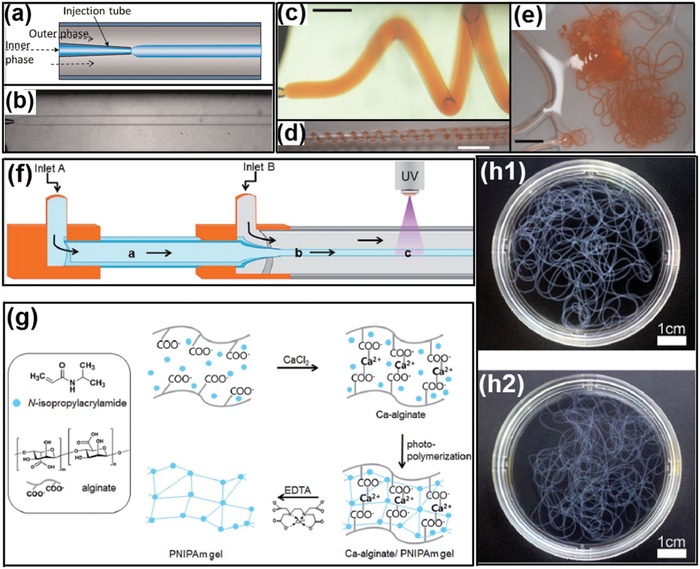 Figure 20