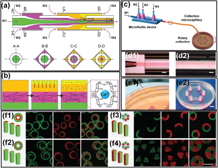 Figure 21