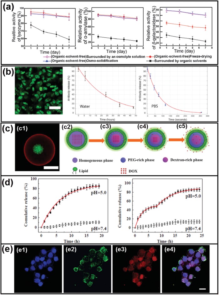 Figure 22