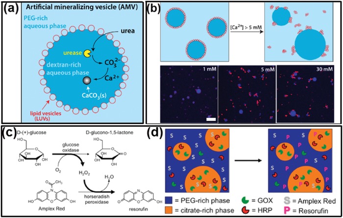 Figure 23