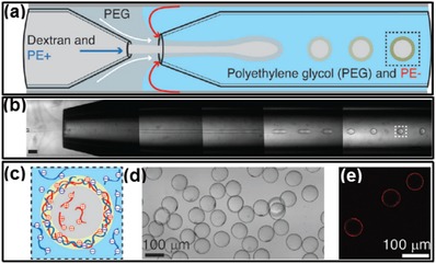 Figure 19