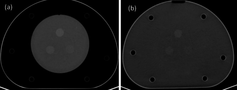 Fig. 10