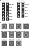 Fig 5