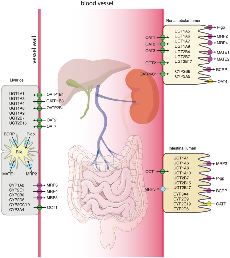 Figure 2.