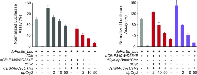 Fig. S5.