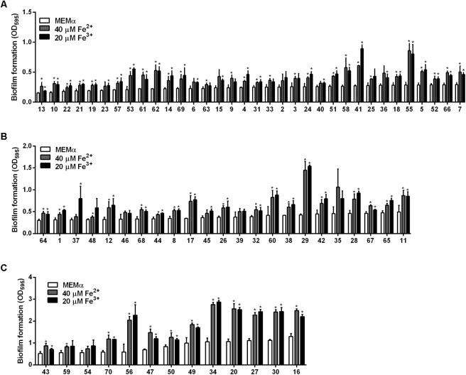 FIGURE 4