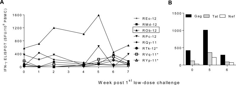 Fig. 6