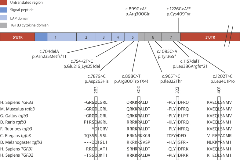 Figure 3