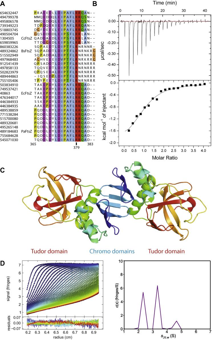 Fig. 2