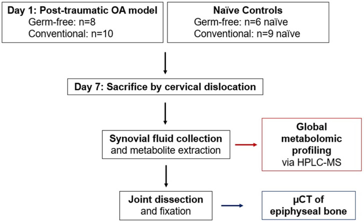 Figure 1: