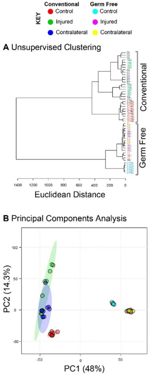 Figure 4: