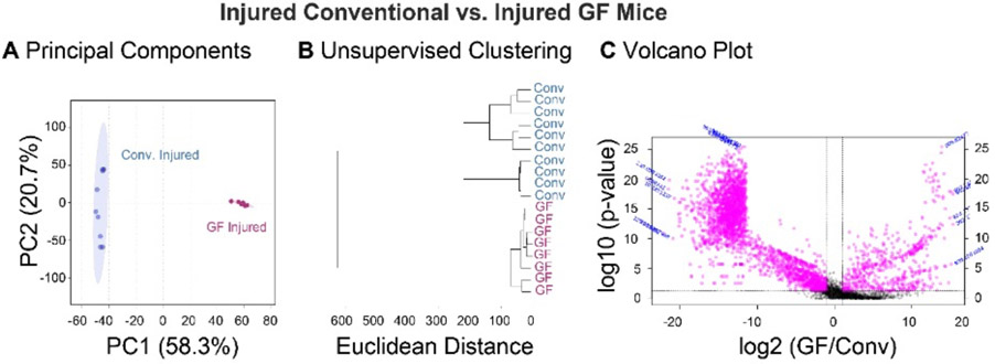 Figure 5: