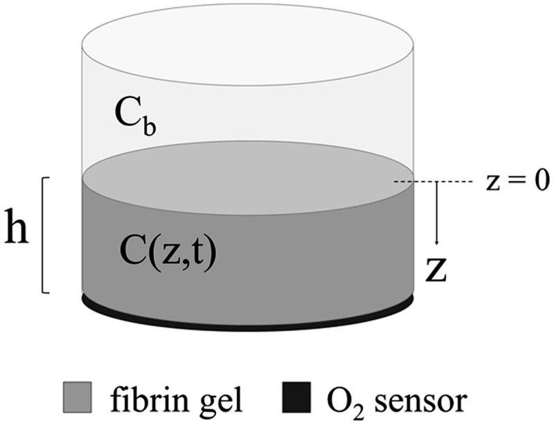 FIG. 1.