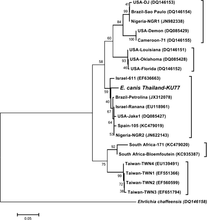 Figure 2