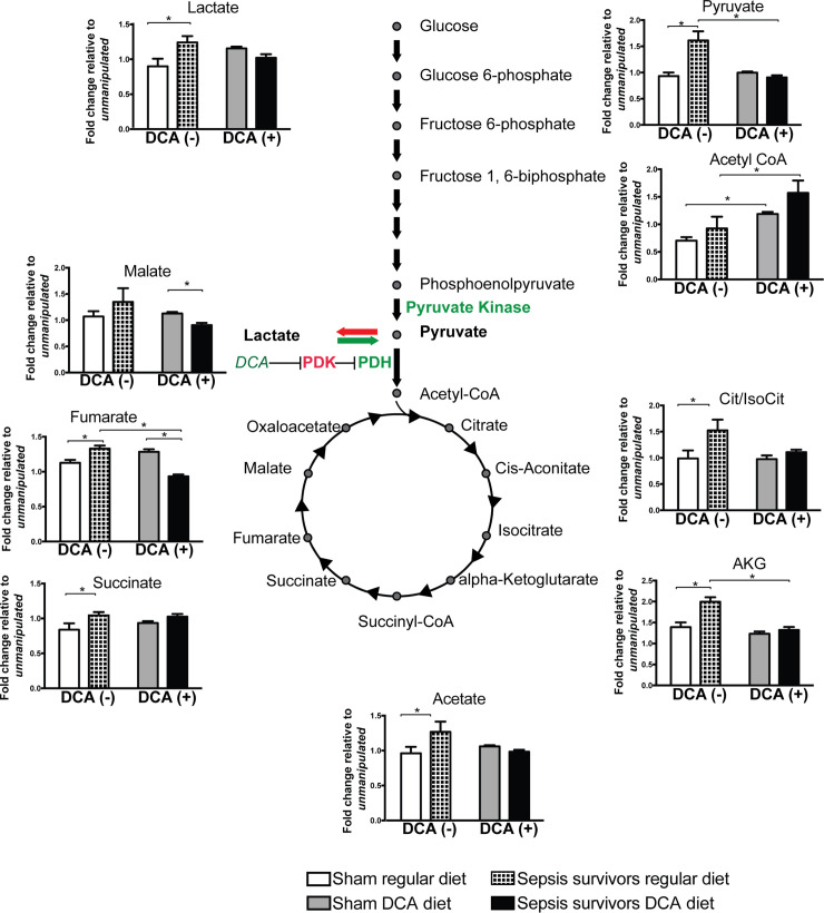 Fig 6