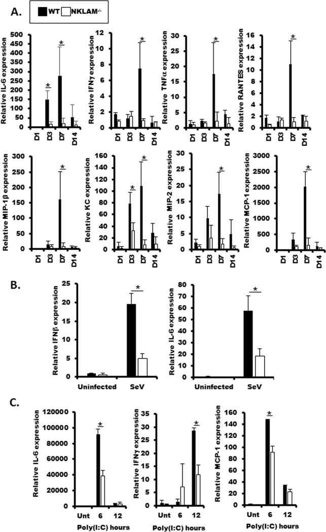 Fig 5