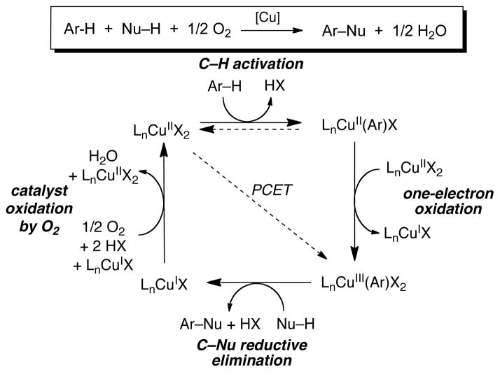 Scheme 9