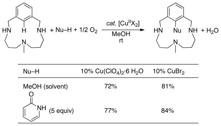 Scheme 10