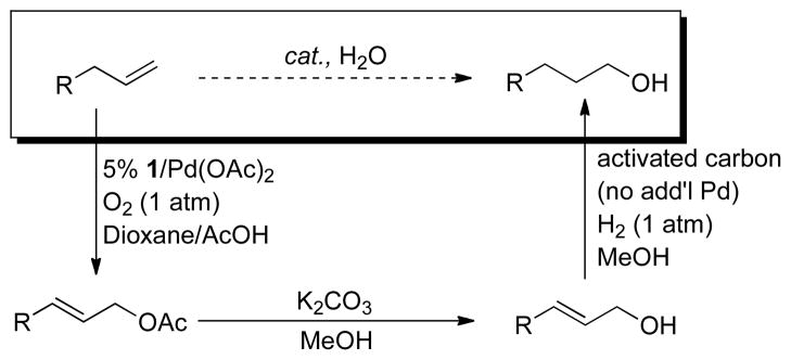 Scheme 4