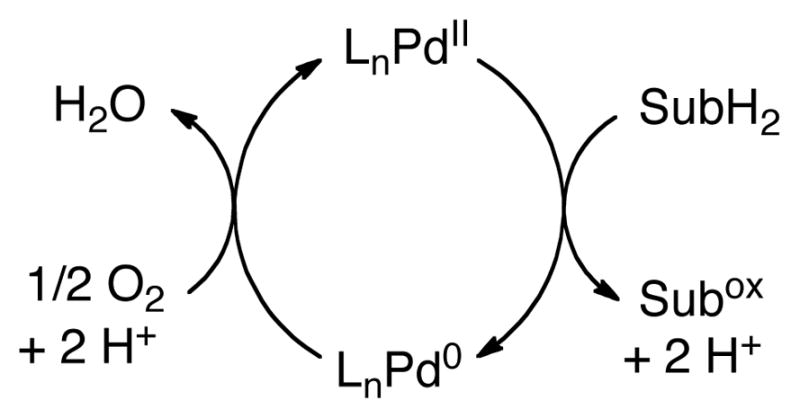 Scheme 2