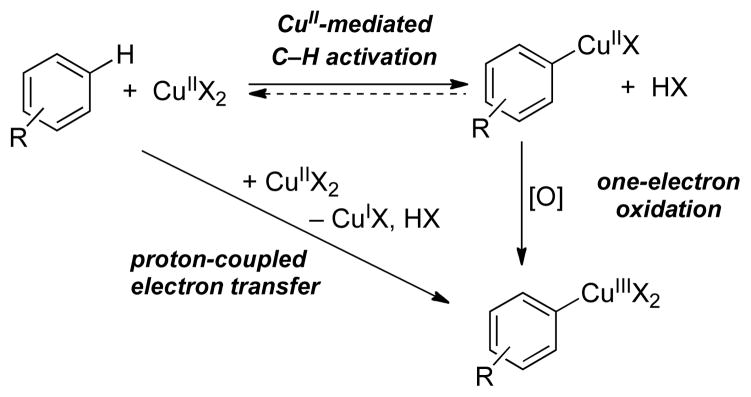 Scheme 8