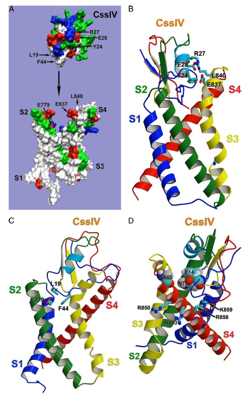 FIGURE 9