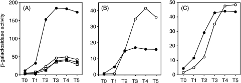 FIG. 2.