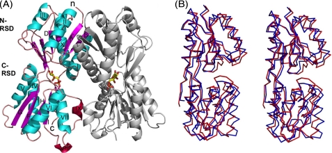 FIGURE 5.