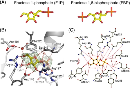 FIGURE 6.