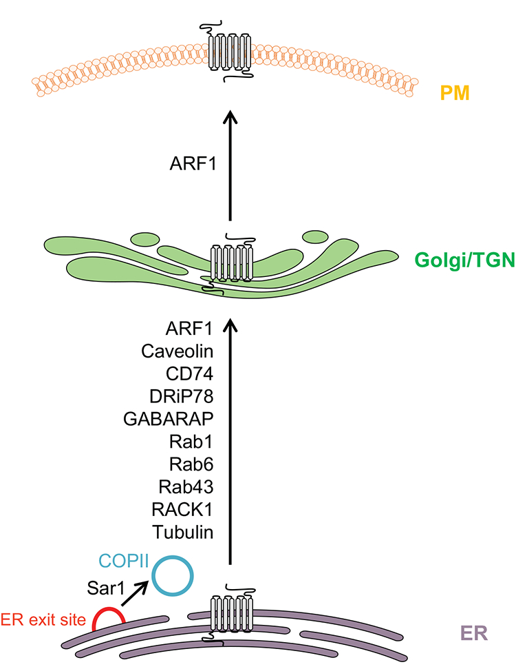 Fig. 2.