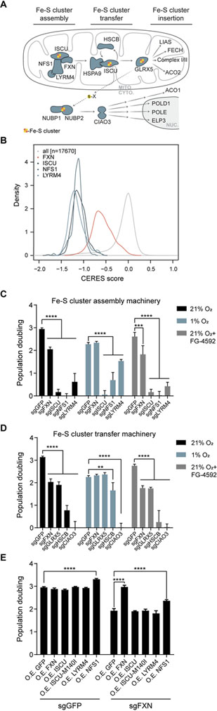 Figure 2-