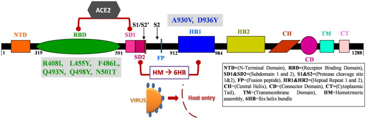 Figure 1.